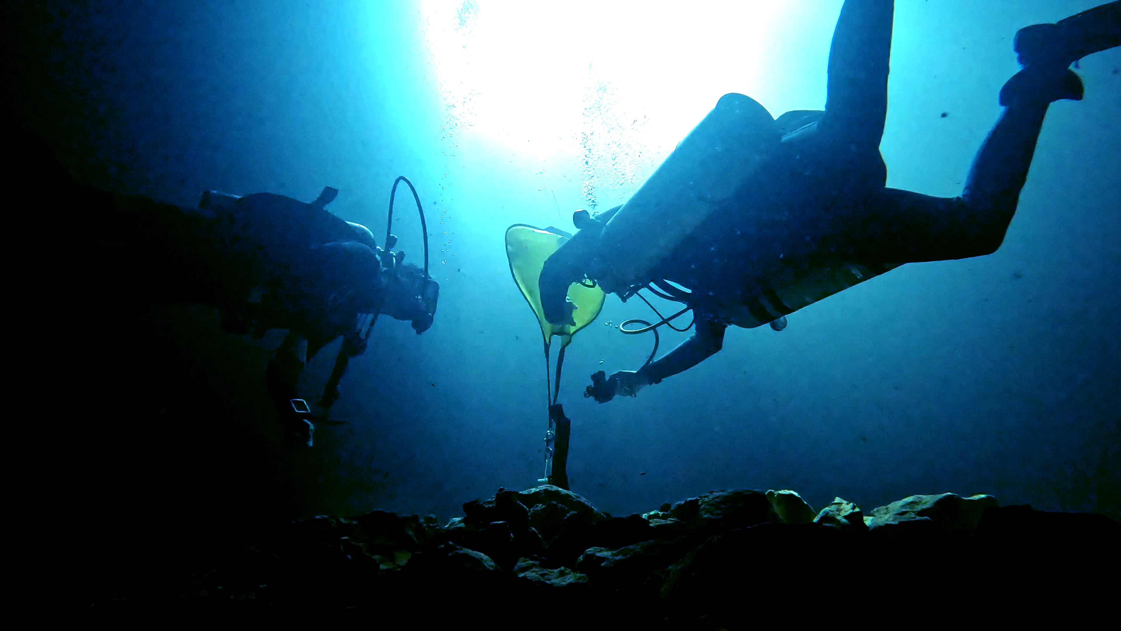 PADI Advanced Open Water Diver